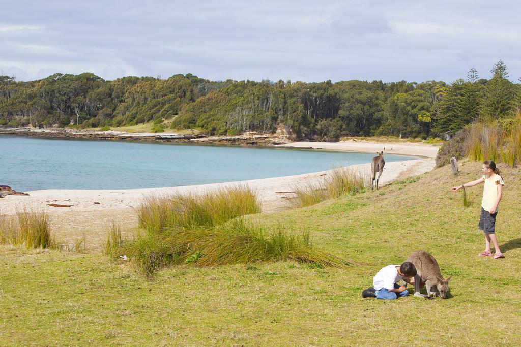 Nrma Murramarang Beachfront Durras